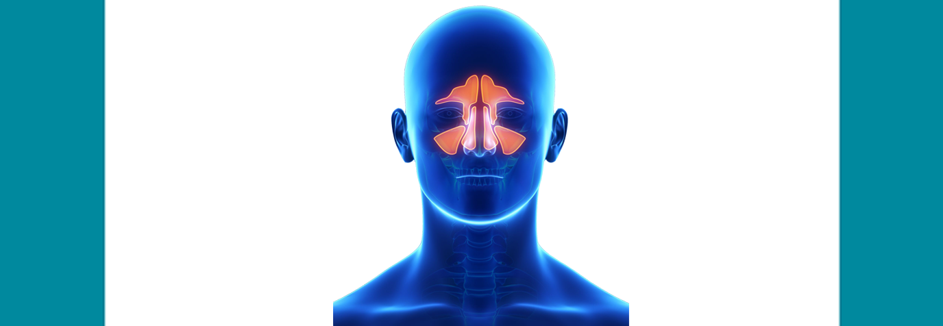 МРТ придаточных пазух носа
